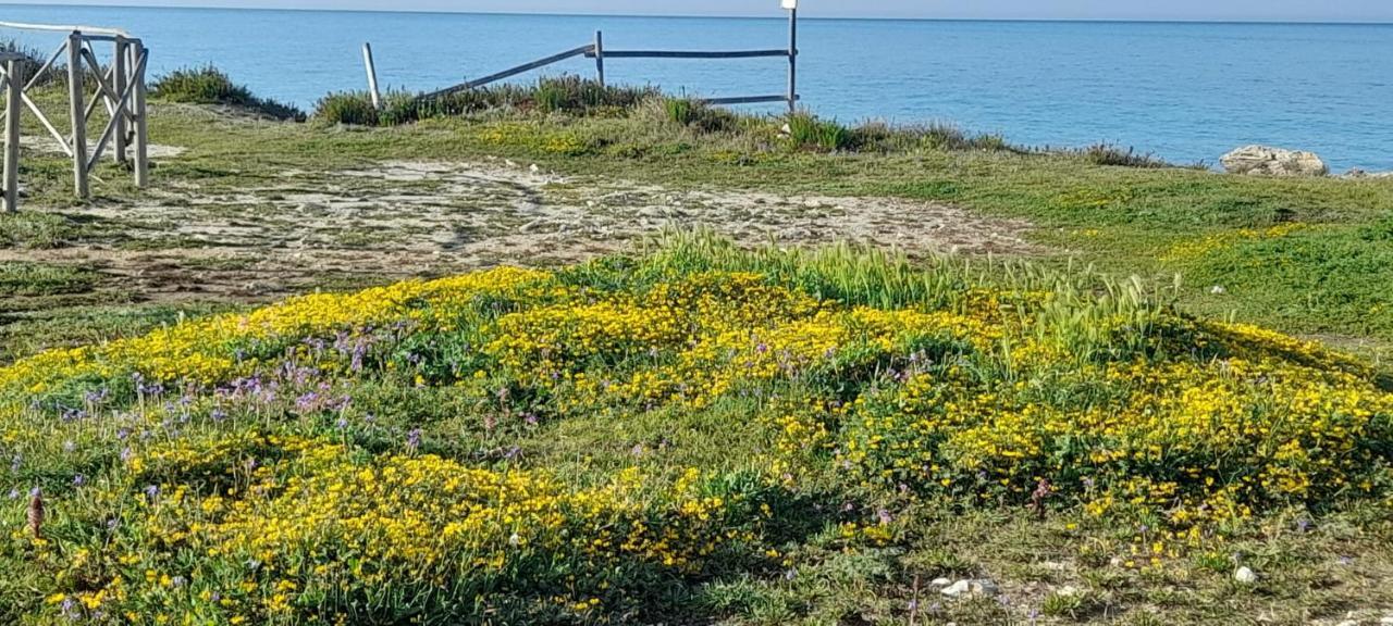 Villino Il Melograno Villa Torre Specchia Ruggeri Exteriör bild