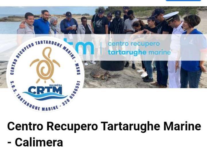 Villino Il Melograno Villa Torre Specchia Ruggeri Exteriör bild